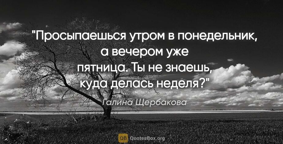 Галина Щербакова цитата: "Просыпаешься утром в понедельник, а вечером уже пятница. Ты не..."