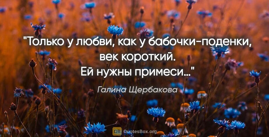 Галина Щербакова цитата: "Только у любви, как у бабочки-поденки, век короткий. Ей нужны..."