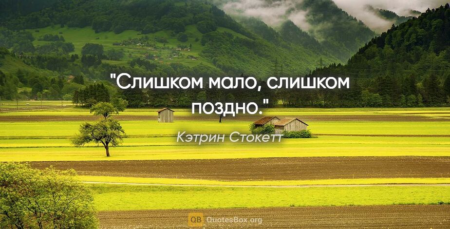 Кэтрин Стокетт цитата: "Слишком мало, слишком поздно."