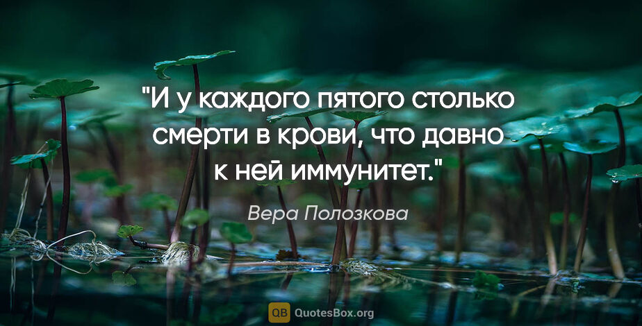 Вера Полозкова цитата: "И у каждого пятого столько смерти в крови,

что давно к ней..."