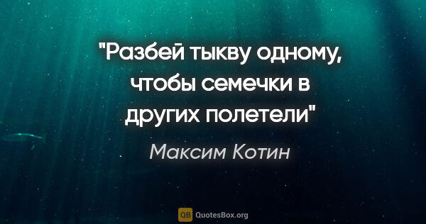 Максим Котин цитата: "«Разбей тыкву одному, чтобы семечки в других полетели»"