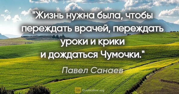 Павел Санаев цитата: "Жизнь нужна была, чтобы переждать врачей, переждать уроки и..."