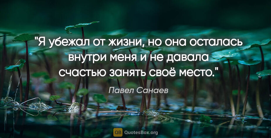 Павел Санаев цитата: "Я убежал от жизни, но она осталась внутри меня и не давала..."