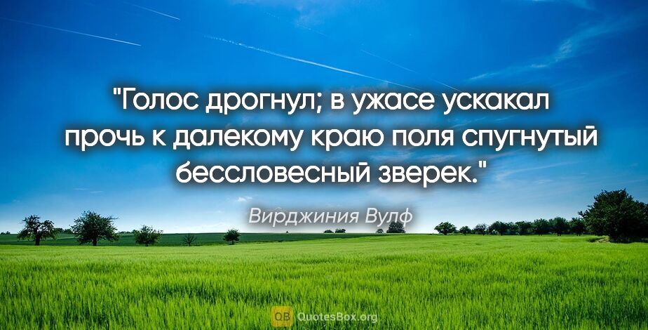 Вирджиния Вулф цитата: "Голос дрогнул; в ужасе ускакал прочь к далекому краю поля..."