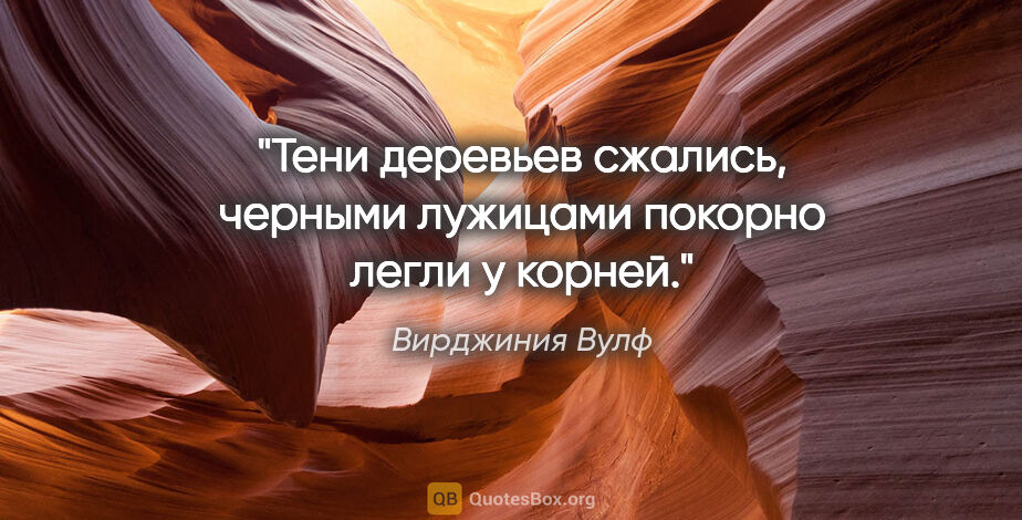 Вирджиния Вулф цитата: "Тени деревьев сжались, черными лужицами покорно легли у корней."