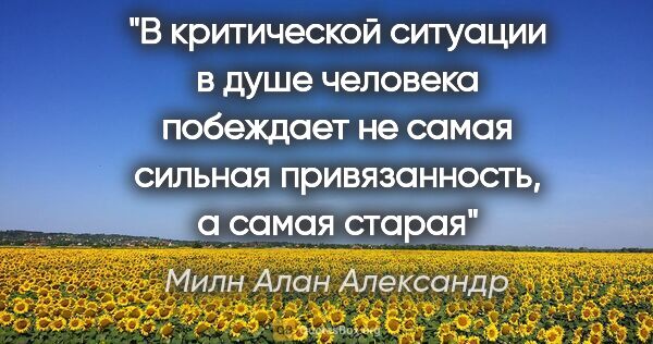 Милн Алан Александр цитата: "В критической ситуации в душе человека побеждает не самая..."