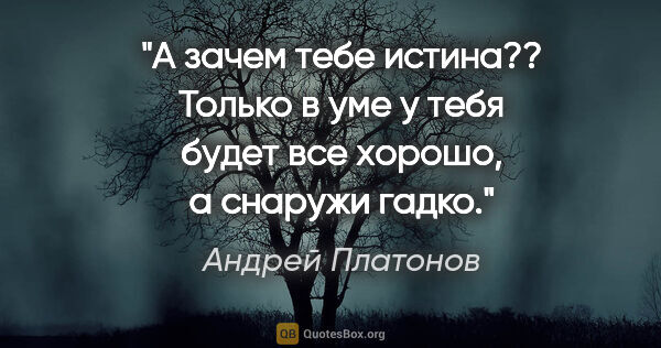 Андрей Платонов цитата: "А зачем тебе истина?? Только в уме у тебя будет все хорошо, а..."