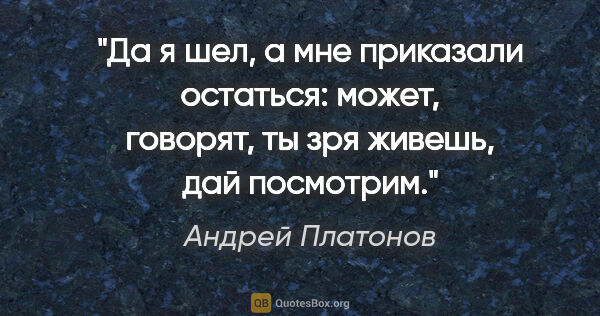 Андрей Платонов цитата: "Да я шел, а мне приказали остаться: может, говорят, ты зря..."