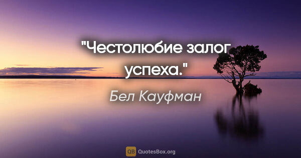 Бел Кауфман цитата: "Честолюбие залог успеха."