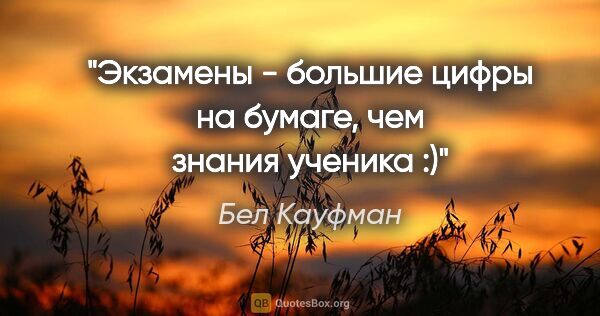 Бел Кауфман цитата: "Экзамены - большие цифры на бумаге, чем знания ученика :)"