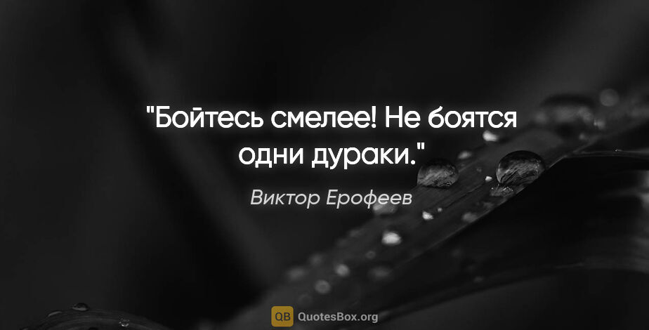 Виктор Ерофеев цитата: "Бойтесь смелее! Не боятся одни дураки."