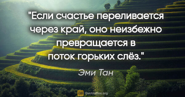 Эми Тан цитата: "Если счастье переливается через край, оно неизбежно..."