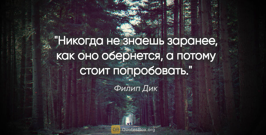 Филип Дик цитата: "Никогда не знаешь заранее, как оно обернется, а потому стоит..."