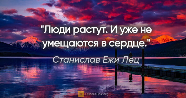 Станислав Ежи Лец цитата: "Люди растут. И уже не умещаются в сердце."