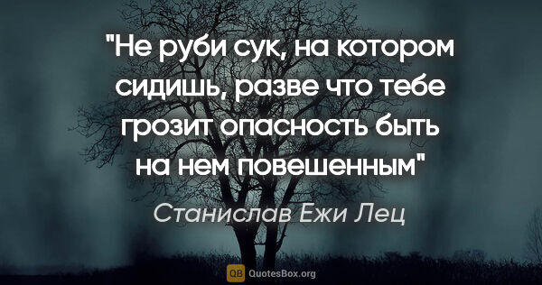 Станислав Ежи Лец цитата: "Не руби сук, на котором сидишь, разве что тебе грозит..."