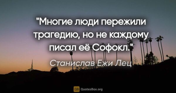 Станислав Ежи Лец цитата: "Многие люди пережили трагедию, но не каждому писал её Софокл."