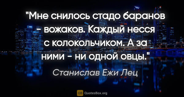 Станислав Ежи Лец цитата: "Мне снилось стадо баранов - вожаков. Каждый несся с..."