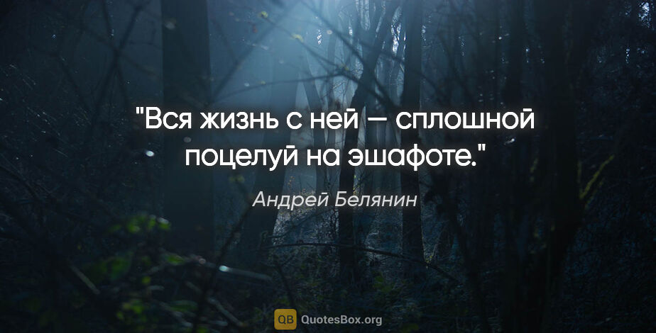 Андрей Белянин цитата: "Вся жизнь с ней — сплошной поцелуй на эшафоте."