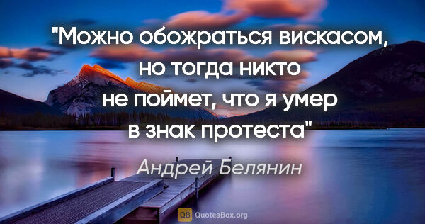 Андрей Белянин цитата: "Можно обожраться вискасом, но тогда никто не поймет, что я..."