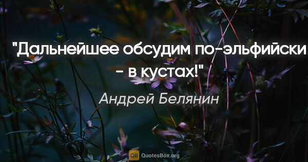 Андрей Белянин цитата: "Дальнейшее обсудим по-эльфийски - в кустах!"
