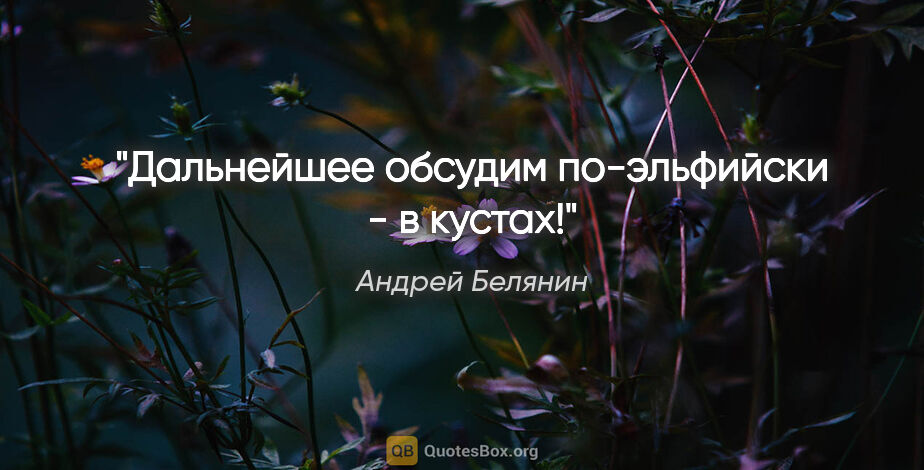 Андрей Белянин цитата: "Дальнейшее обсудим по-эльфийски - в кустах!"