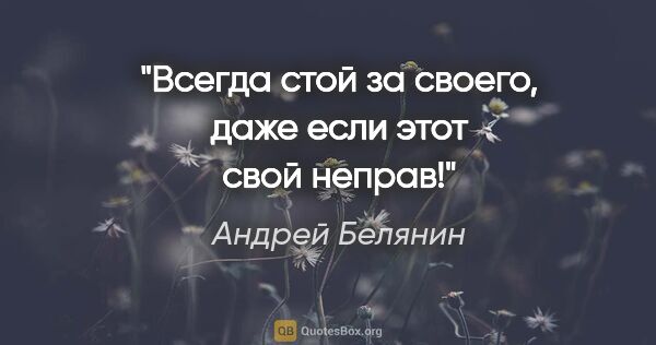 Андрей Белянин цитата: "Всегда стой за своего, даже если этот свой неправ!"
