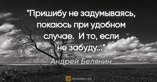 Андрей Белянин цитата: "Пришибу не задумываясь, покаюсь при удобном случае. 

И то,..."