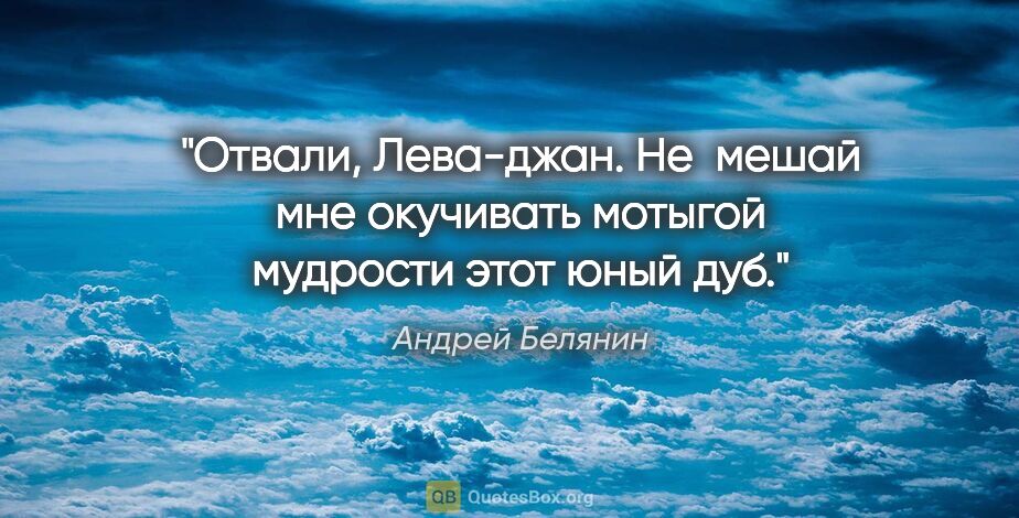 Андрей Белянин цитата: "Отвали, Лева-джан. Не  мешай мне окучивать мотыгой мудрости..."