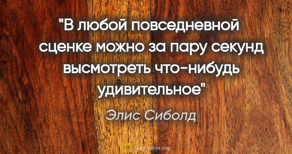 Элис Сиболд цитата: "В любой повседневной  сценке можно за пару секунд высмотреть..."