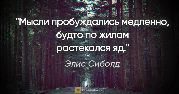 Элис Сиболд цитата: "Мысли пробуждались медленно, будто по жилам растекался яд."