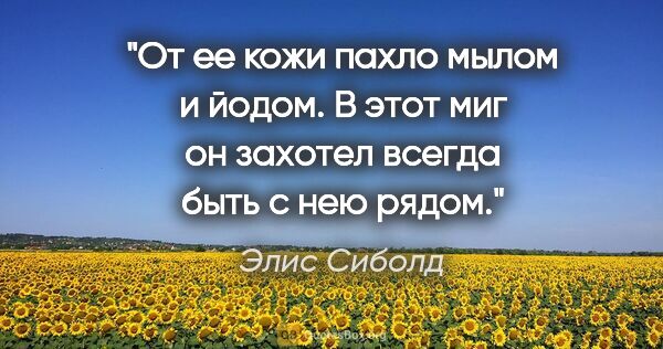 Элис Сиболд цитата: "От ее кожи пахло мылом и йодом. В этот миг он захотел всегда..."