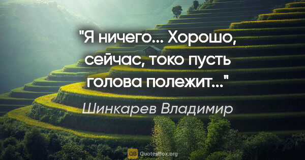 Шинкарев Владимир цитата: "Я ничего... Хорошо, сейчас, токо пусть голова полежит..."