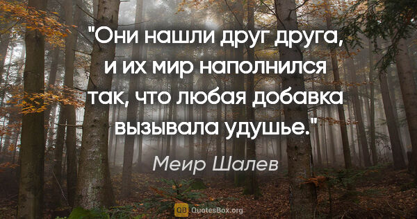 Меир Шалев цитата: "Они нашли друг друга, и их мир наполнился так, что любая..."