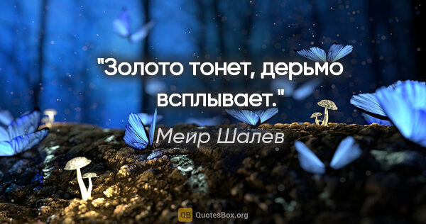 Меир Шалев цитата: "Золото тонет, дерьмо всплывает."