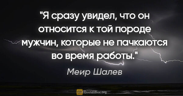 Меир Шалев цитата: "Я сразу увидел, что он относится к той породе мужчин, которые..."