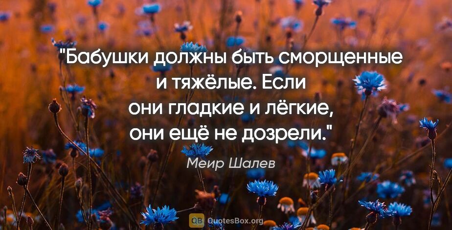 Меир Шалев цитата: "Бабушки должны быть сморщенные и тяжёлые. Если они гладкие и..."