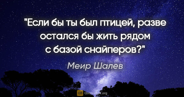 Меир Шалев цитата: "Если бы ты был птицей, разве остался бы жить рядом с базой..."