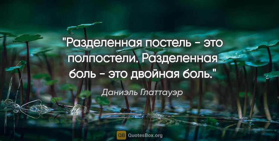 Даниэль Глаттауэр цитата: "Разделенная постель - это полпостели. Разделенная боль - это..."