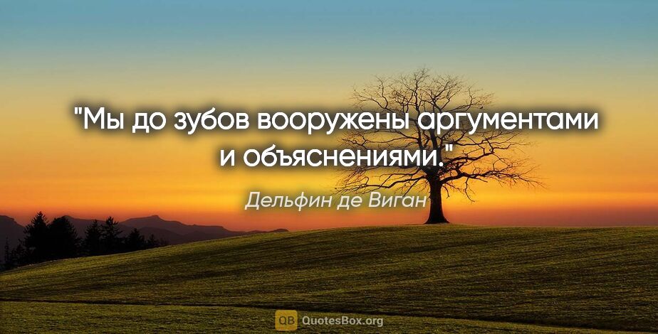 Дельфин де Виган цитата: "Мы до зубов вооружены аргументами и объяснениями."