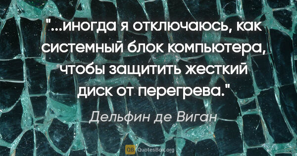 Дельфин де Виган цитата: "иногда я отключаюсь, как системный блок компьютера, чтобы..."