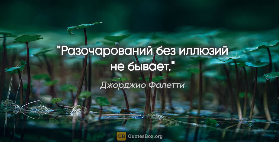 Джорджио Фалетти цитата: "Разочарований без иллюзий не бывает."