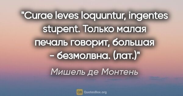 Мишель де Монтень цитата: "Curae leves loquuntur, ingentes stupent.

Только малая печаль..."