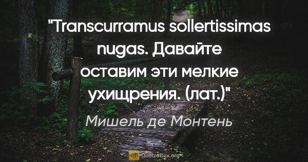 Мишель де Монтень цитата: "Transcurramus sollertissimas nugas.

Давайте оставим эти..."