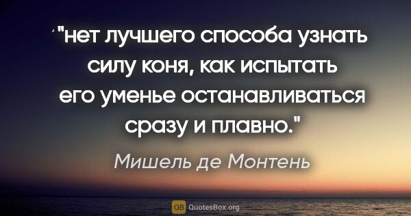 Мишель де Монтень цитата: "нет лучшего способа узнать силу коня, как испытать его уменье..."