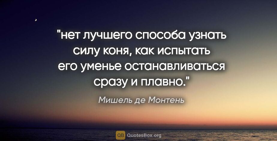 Мишель де Монтень цитата: "нет лучшего способа узнать силу коня, как испытать его уменье..."