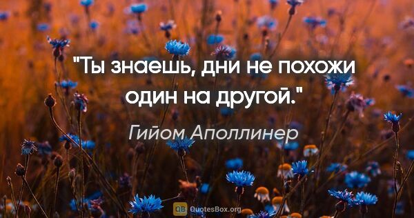 Гийом Аполлинер цитата: "Ты знаешь, дни не похожи один на другой."