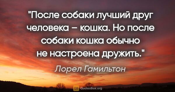 Лорел Гамильтон цитата: "После собаки лучший друг человека – кошка. Но после собаки..."