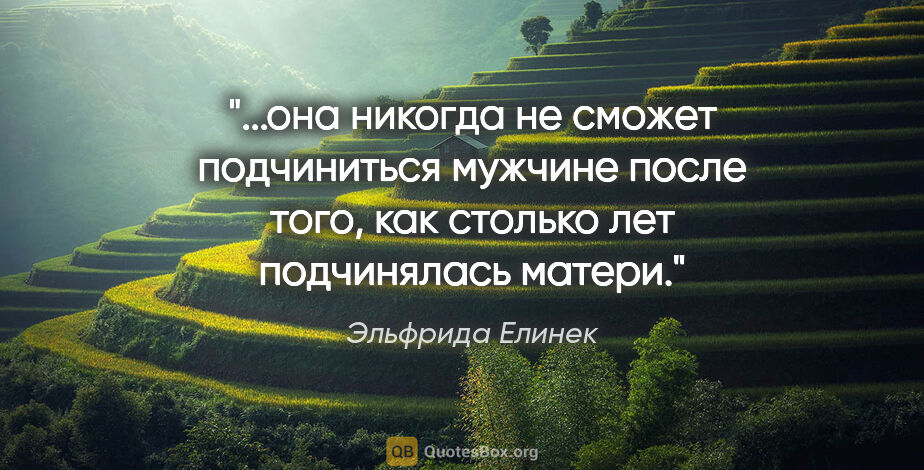 Эльфрида Елинек цитата: "она никогда не сможет подчиниться мужчине после того, как..."