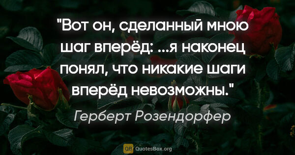 Герберт Розендорфер цитата: "Вот он, сделанный мною шаг вперёд: ...я наконец понял, что..."