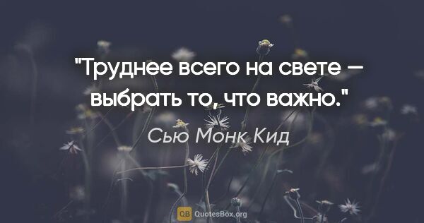 Сью Монк Кид цитата: "Труднее всего на свете — выбрать то, что важно."